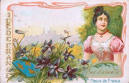 Le pied d'alouette, charmante petite plante de la famille des renonculacées, est une mauvaise herbe nuisible aux cultures. Les graines, autrefois employées en médecine, sont âcres et vénéneuses.