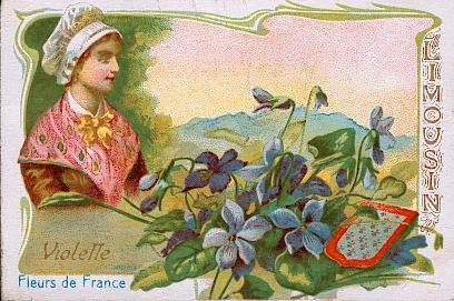 La violette est une plante vivace de la famille des violariées, très commune sous les haies et dans les bois où elle fleurit dès les premiers jours du printemps. Avec les fleurs séchées, on fait une tisane contre la toux ; leur distillation produit une essence très appréciée comme parfum. Sa racine, d'une odeur agréable, sert d'émétique.