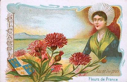 La jacée des prés ou centaurée jacée est une plante vivace de la famille des composées : elle atteint une hauteur de 30 à 80 cm, très variable de forme ; on la trouve dans les prairies et sur la lisière des bois. Cette plante, dont toutes les parties servaient autrefois en médecine, semble aujourd'hui ne plus jouir des mêmes faveurs.